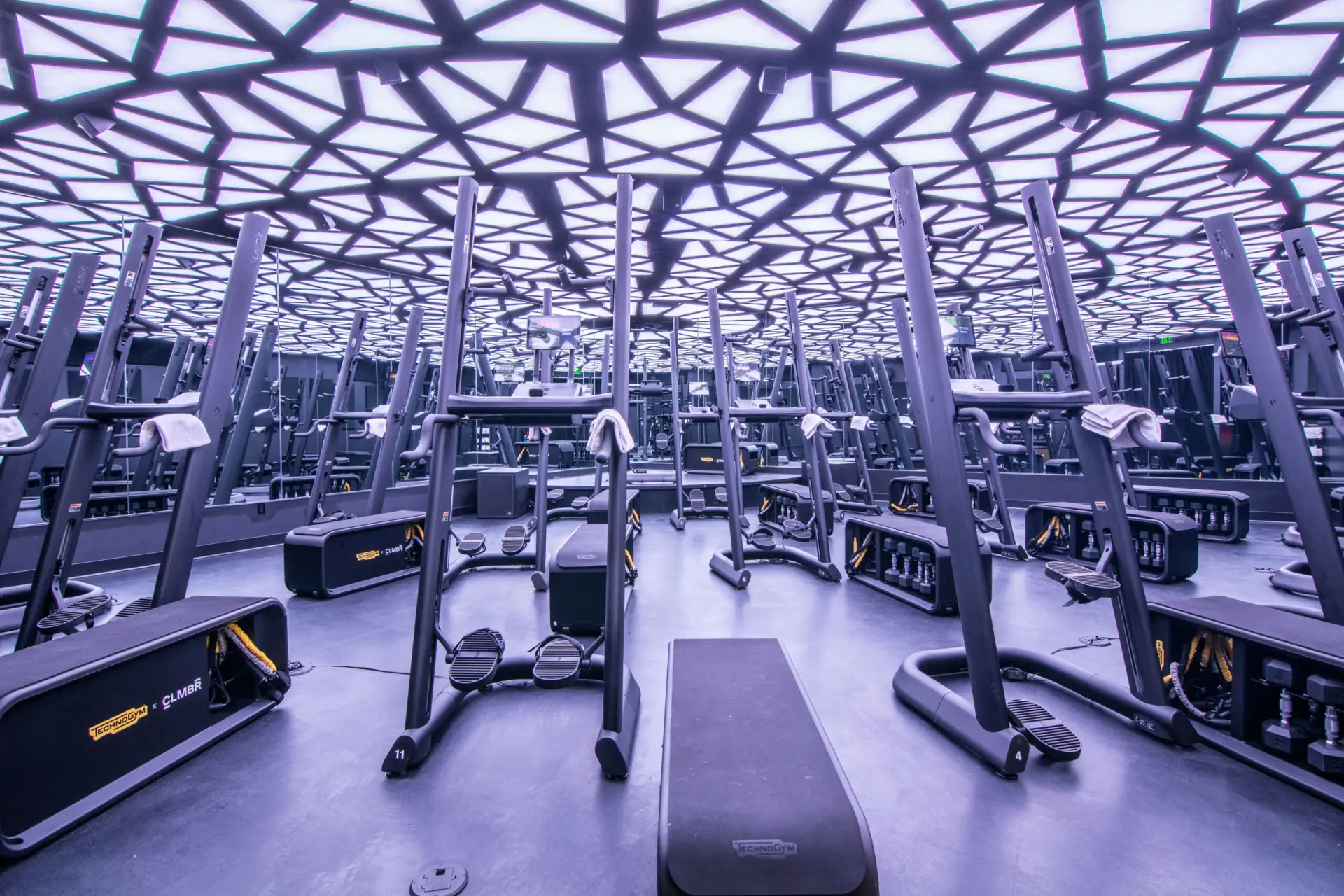 fitness-main-workout-scaled.webp