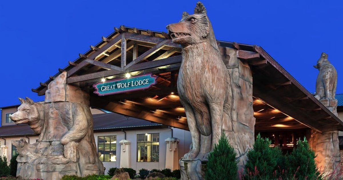 grapevine-great-wolf.webp